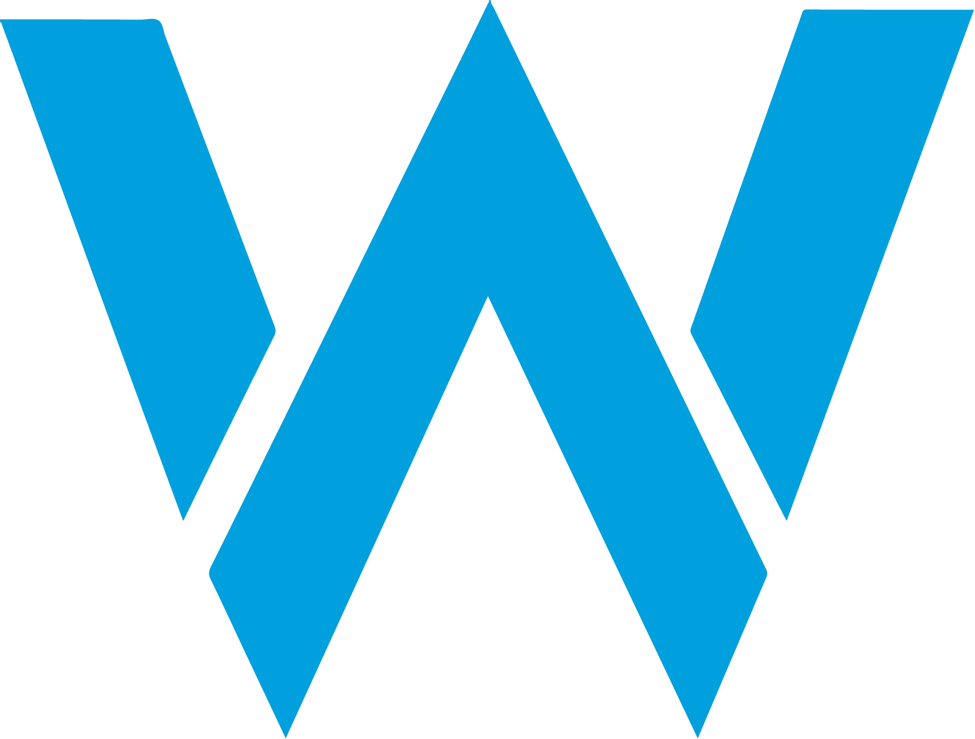 Williams Formula 1 logo